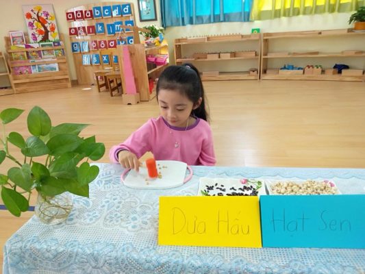 phuong phap hoc hieu qua 2 533x400 - Phương pháp học hiệu quả giúp trẻ tập trung cao nhất